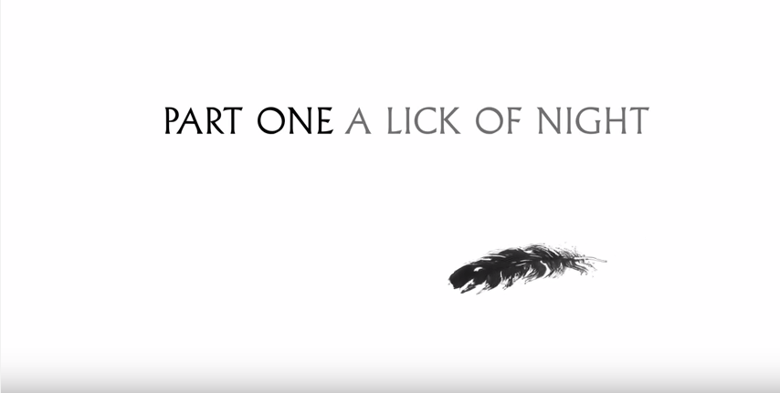 Grief Is the Thing with Feathers youtube video clip