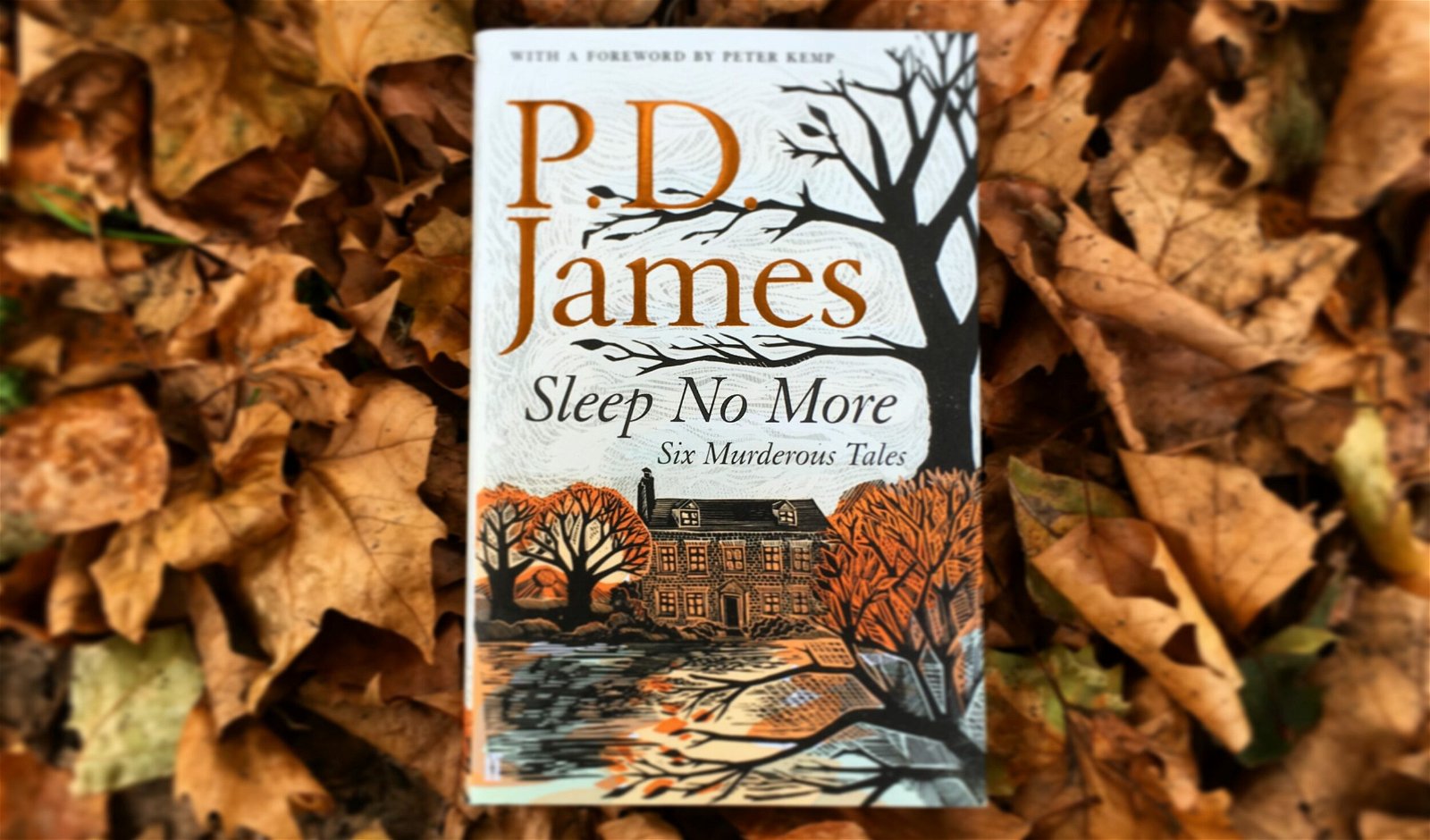 Sleep No More PD James