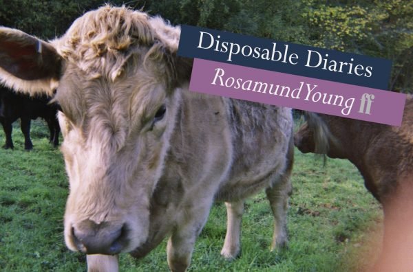 Disposable Diaries: Rosamund Young