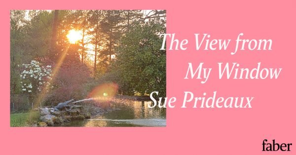 The View from My Window | Sue Prideaux