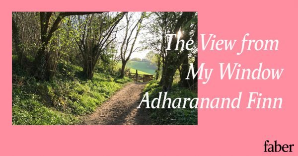 The View from My Window | Adharanand Finn