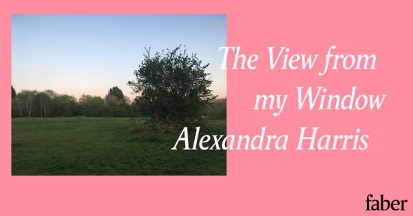 The View from My Window | Alexandra Harris