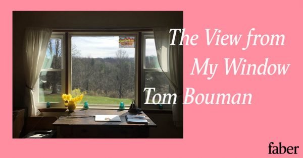 The View from My Window | Tom Bouman