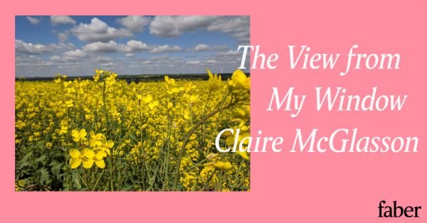 The View From My Window | Claire McGlasson
