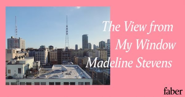 The View from My Window | Madeline Stevens