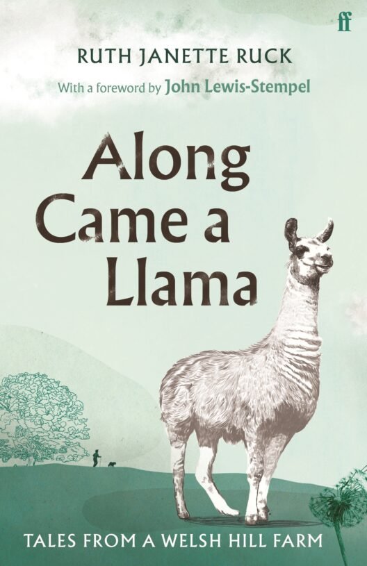 Along-Came-a-Llama-1.jpg