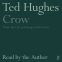 Crow-5.jpg Crow-5.jpg