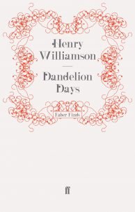 Dandelion-Days.jpg