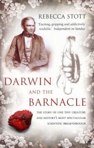 Darwin-and-the-Barnacle-1.jpg