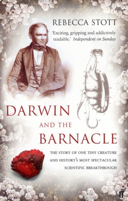 Darwin-and-the-Barnacle.jpg