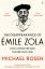 Disappearance-of-Emile-Zola.jpg