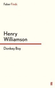 Donkey-Boy-1.jpg