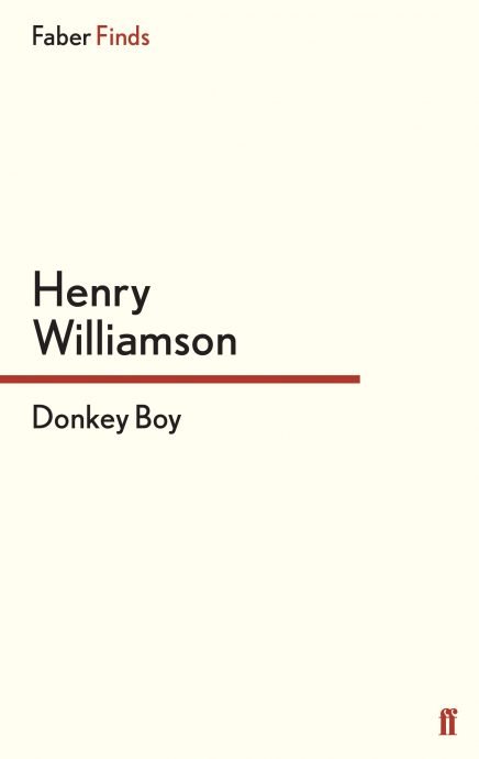 Donkey-Boy.jpg
