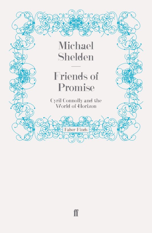 Friends-of-Promise.jpg