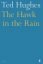 Hawk-in-the-Rain-3.jpg