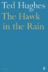 Hawk-in-the-Rain-3.jpg