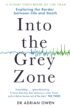 Into-the-Grey-Zone.jpg