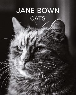 Jane-Bown-Cats.jpg