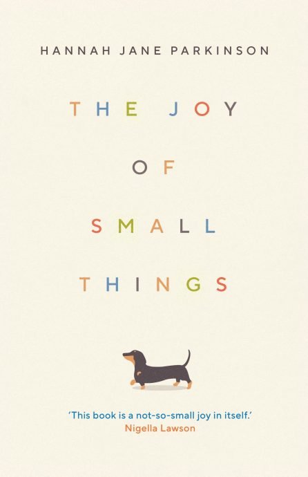 Joy-of-Small-Things-2.jpg