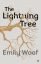 Lightning-Tree-2.jpg