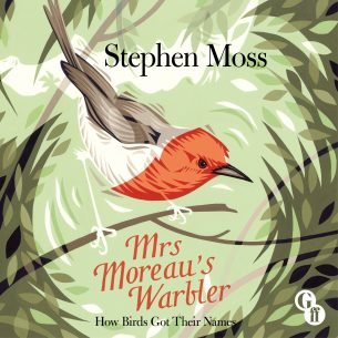 Mrs-Moreaus-Warbler-1.jpg