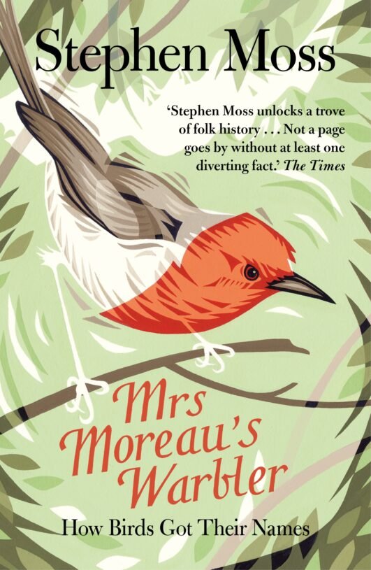 Mrs-Moreaus-Warbler-2.jpg