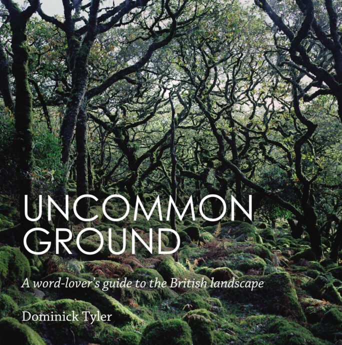 Uncommon-Ground.jpg