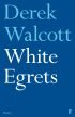 White-Egrets-2.jpg