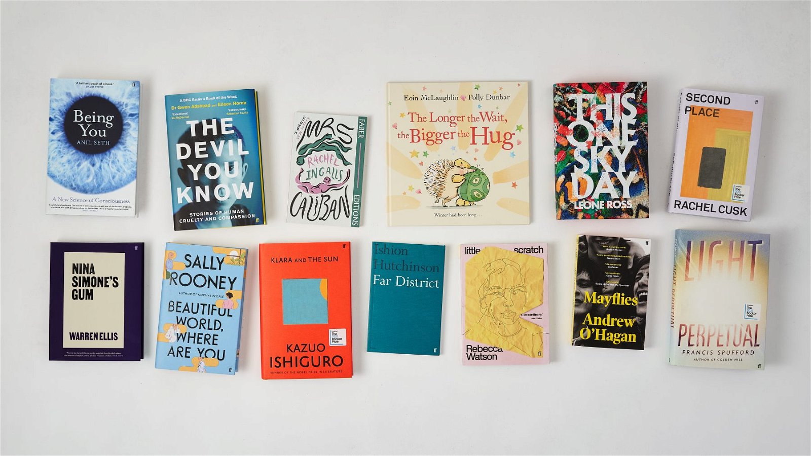 Image of a range of new titles including Mayflies, Second Place, Light Perpetual and Klara and the Sun