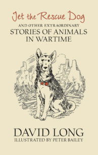 Jet-the-Rescue-Dog.jpg