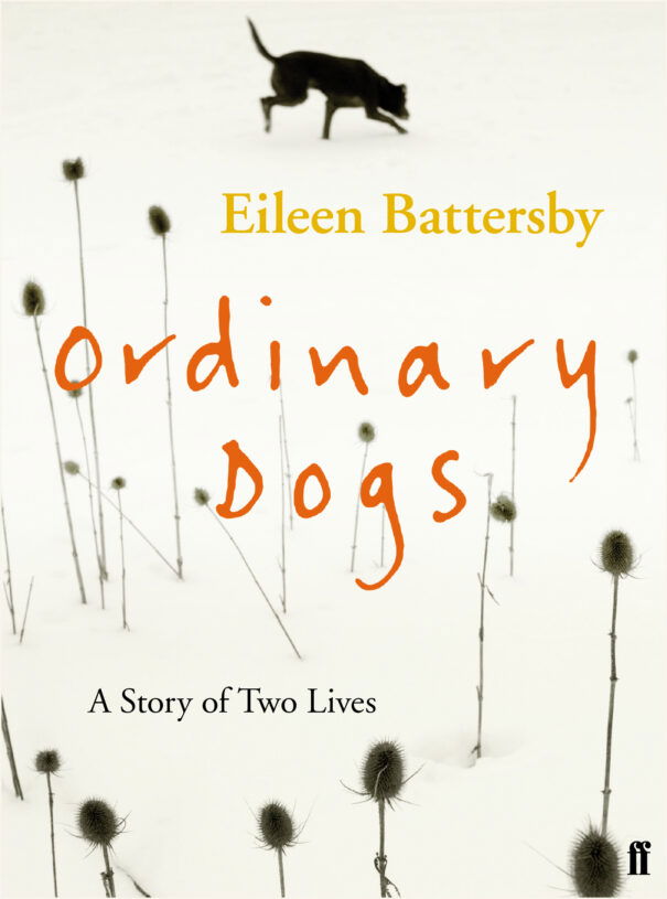 Ordinary-Dogs.jpg Ordinary-Dogs.jpg