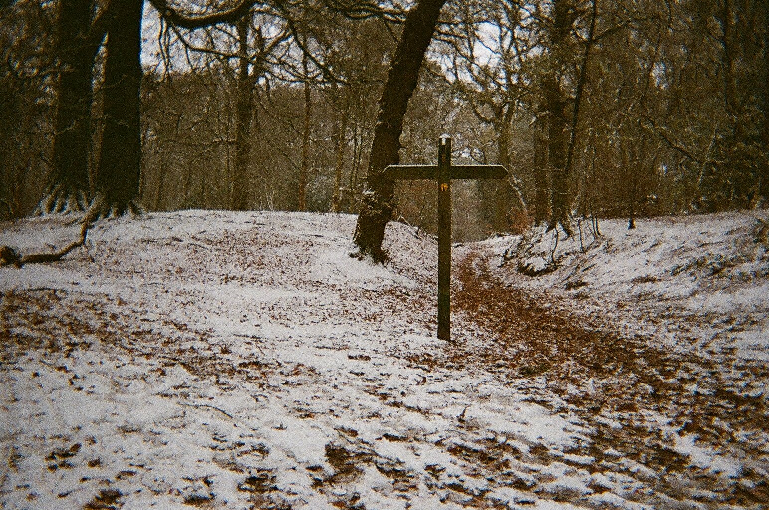 Cross in snowy wood