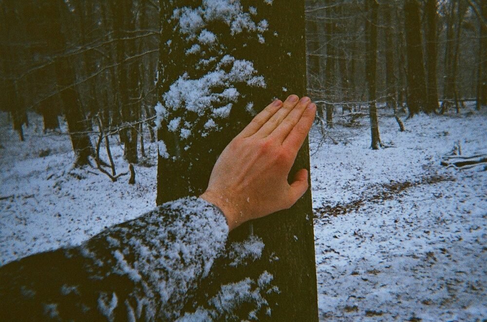 Hand against snow tree