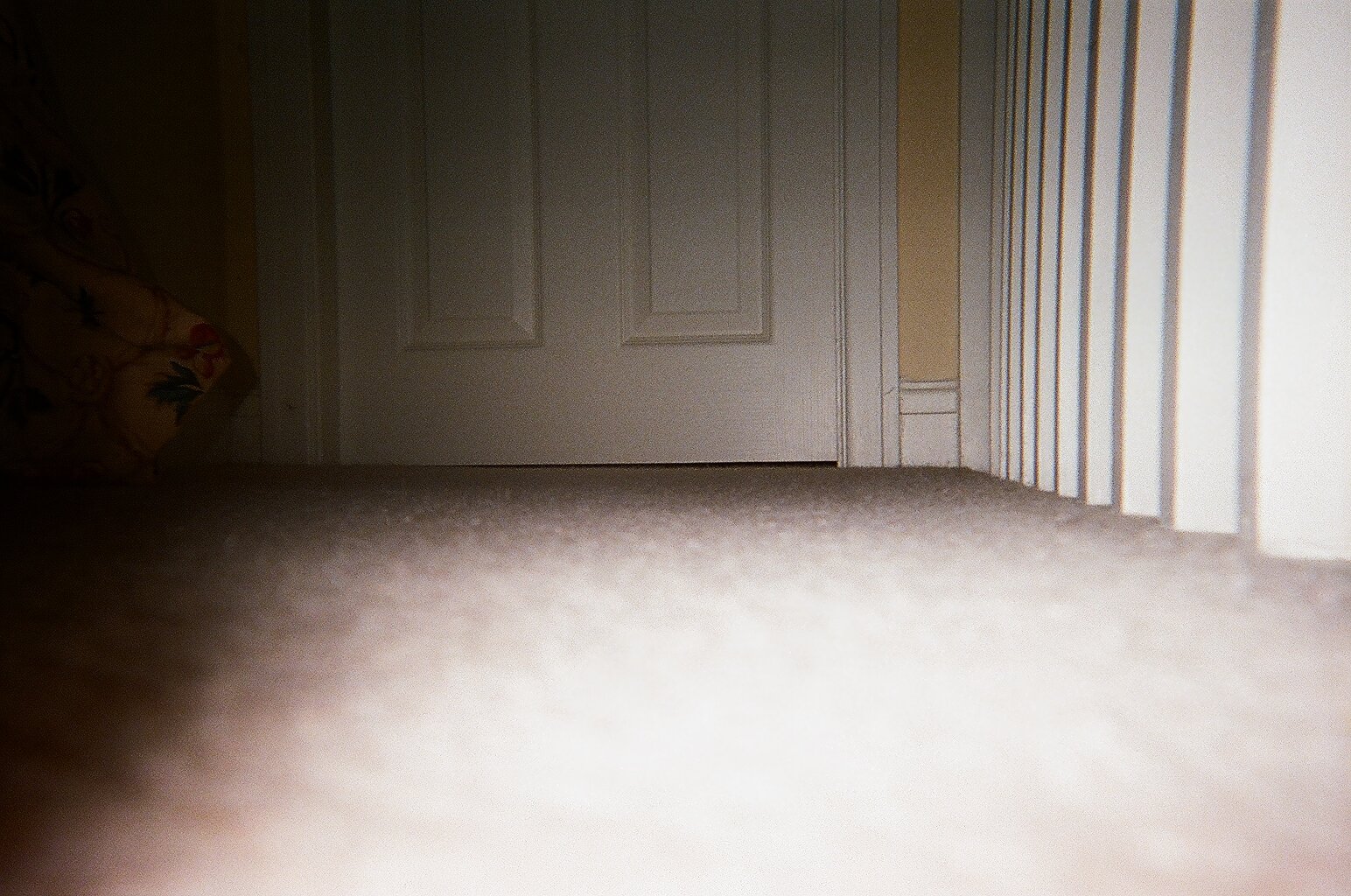 Carpet and door