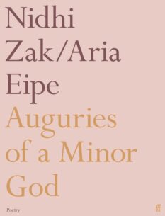 Auguries-of-a-Minor-God.jpg