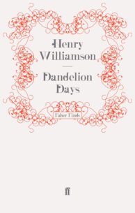 Dandelion-Days.jpg