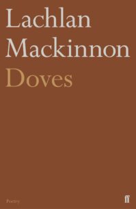 Doves.jpg