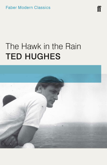 Hawk-in-the-Rain-1.jpg