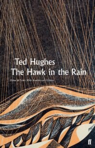 Hawk-in-the-Rain.jpg