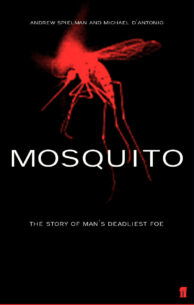 Mosquito.jpg