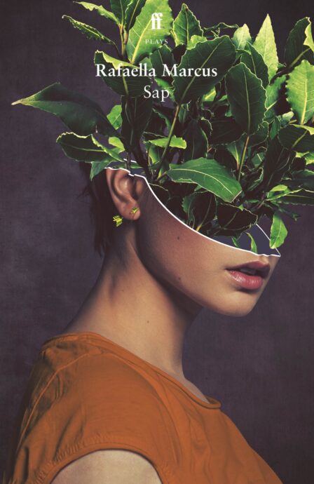 Sap-1.jpg