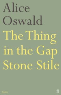 Thing-in-the-Gap-Stone-Stile-1.jpg