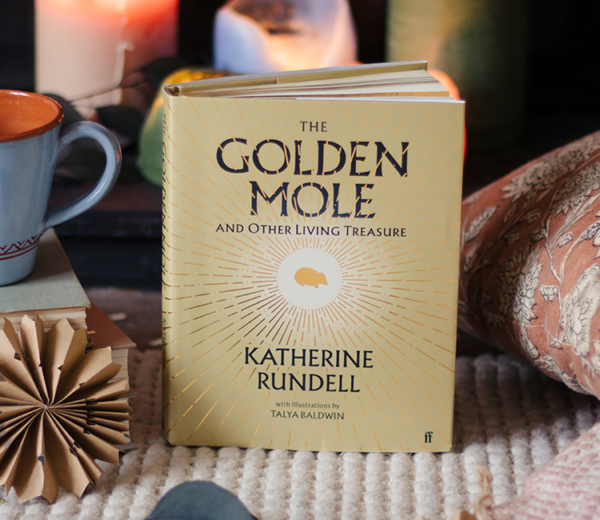 Watch: Katherine Rundell on The Golden Mole