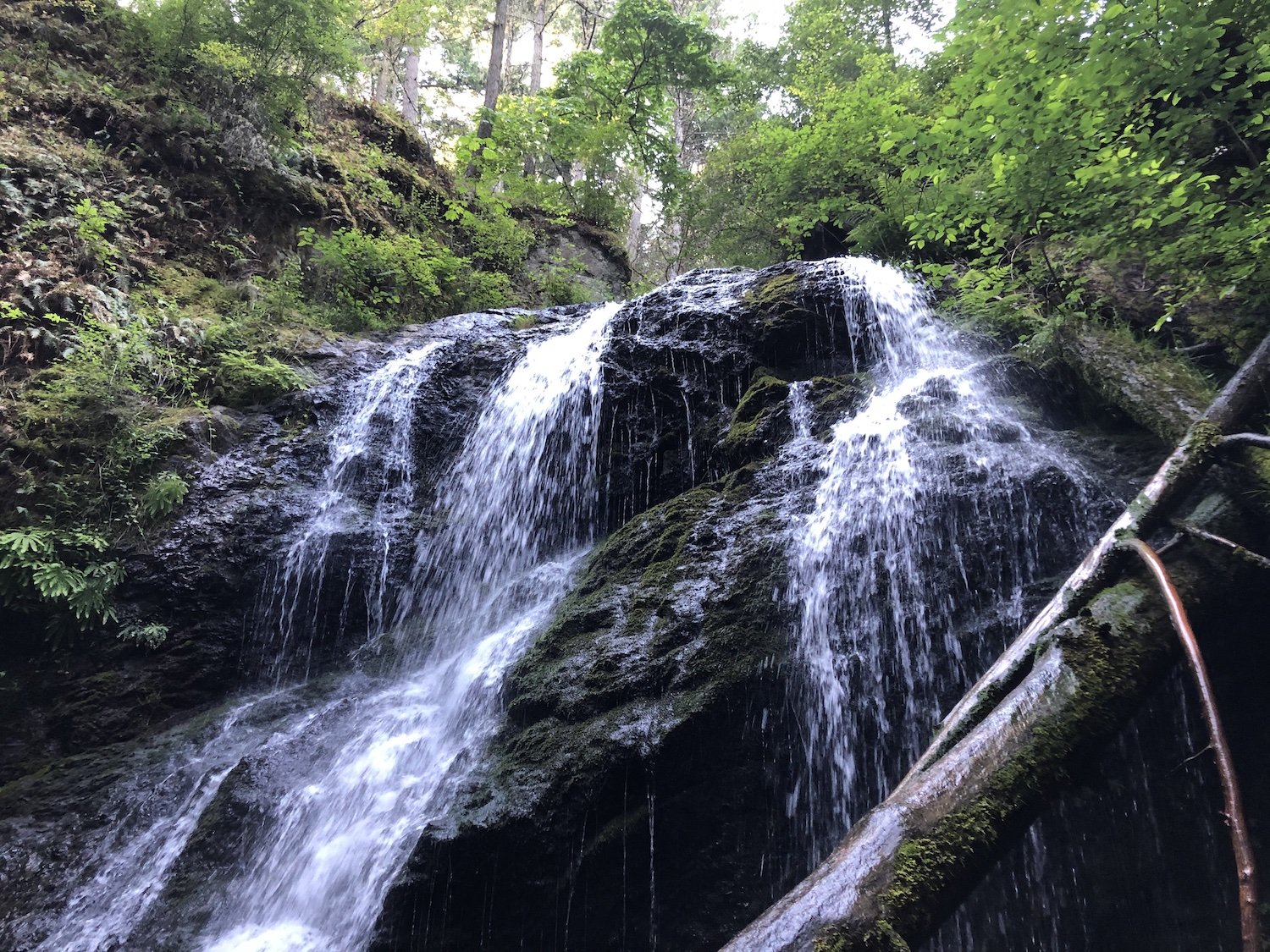 Waterfall over mossy rocks