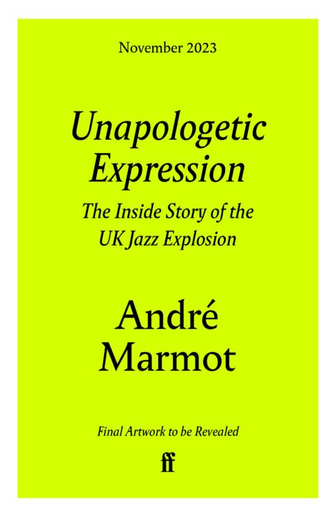 Unapologetic Expression_Holding Cover