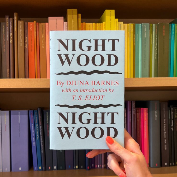 Faber Members Edition of Nightwood by Djuna Barnes with bookcase backdrop