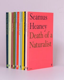 12 of Seamus Heaney's poetry titles standing in a row